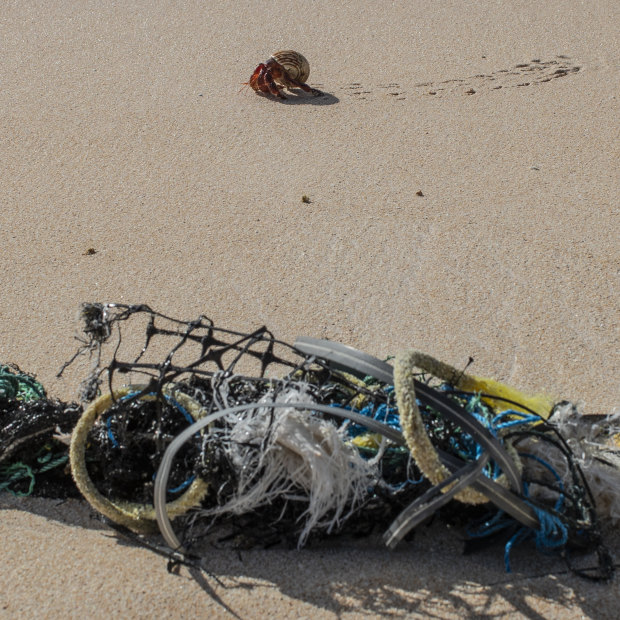 A crab walks past a fish aggregation device that has washed up on Henderson Island.