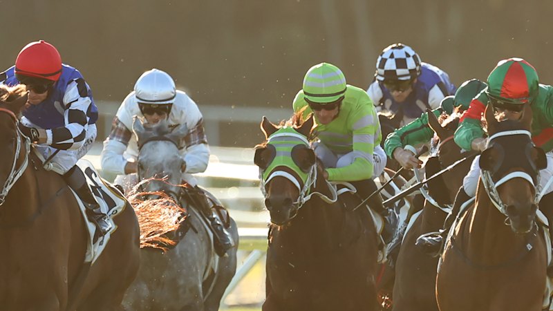 Tips and previews for Rosehill racing on Saturday