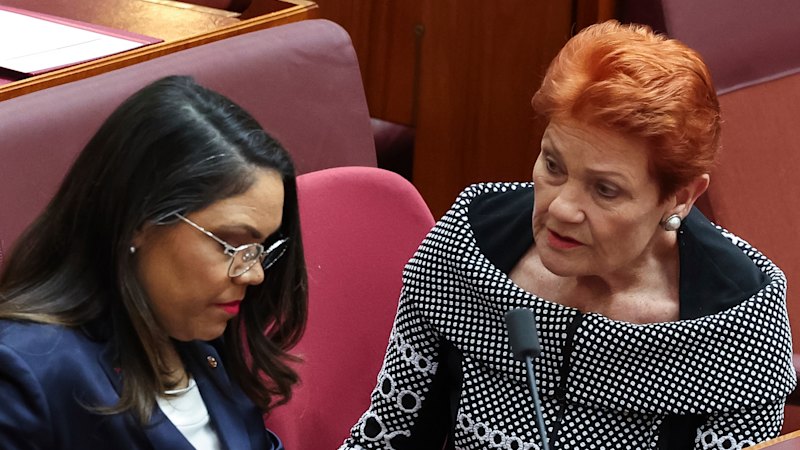 Jacinta Price criticises Pauline Hanson over comments about Indigenous people