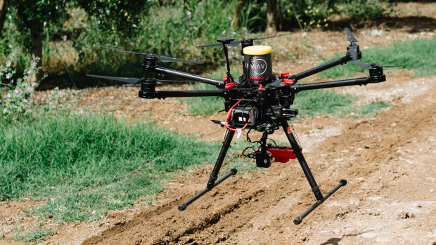 Defying the economic drones: Collecting data in an olive grove, near Ferreira do Alentejo, Portugal. At a time of mounting uncertainty in Europe, Portugal has defied critics who insisted on austerity as the answer to the Continent’s economic and financial crisis. 