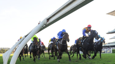 Cherry on top: Pierata (red cap) said farewell to the track with victory in the group 1 All Aged Stakes last week.