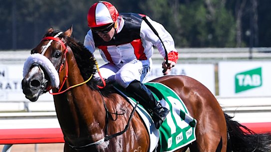 Canberra horse trainers could be run out of town