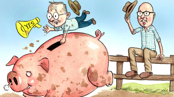 Peter Dutton is aping Tony Abbott, but Anthony Albanese is not Kevin Rudd.
