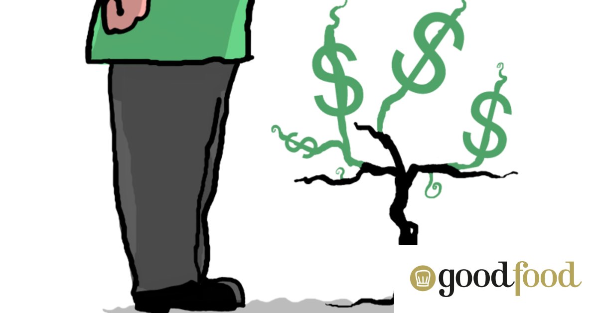 How much does it cost to plant a vineyard or a winemaker in