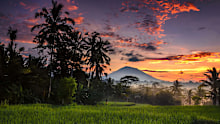 Morning scenery at paddy rice-field with Agung mountain as background, Ubud, Gianyar , Bali, indonesia