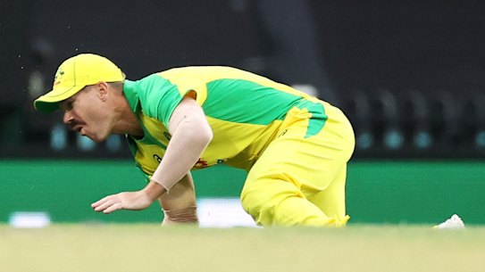 David Warner injured at the Sydney Cricket Ground.
