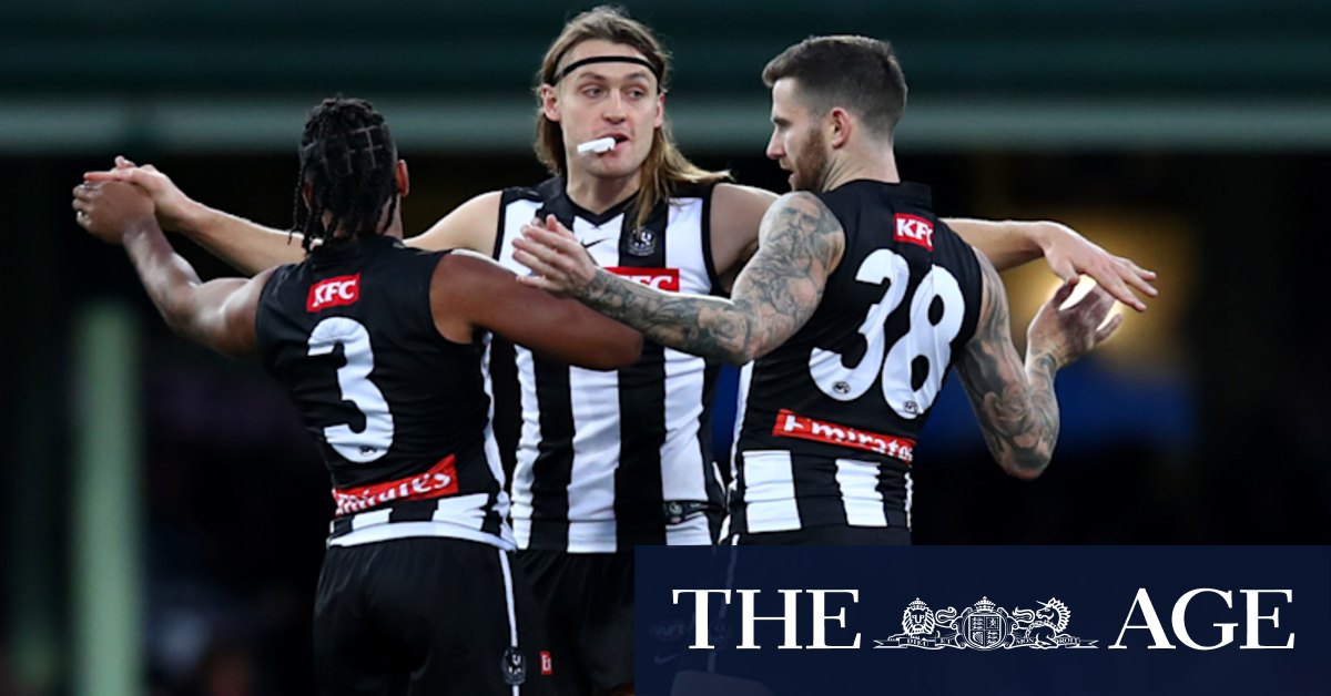 AFL 2022 finals: Darcy Moore, Jeremy Howe and Collingwood Magpies prepare for Geelong Cats - Vimarsana News