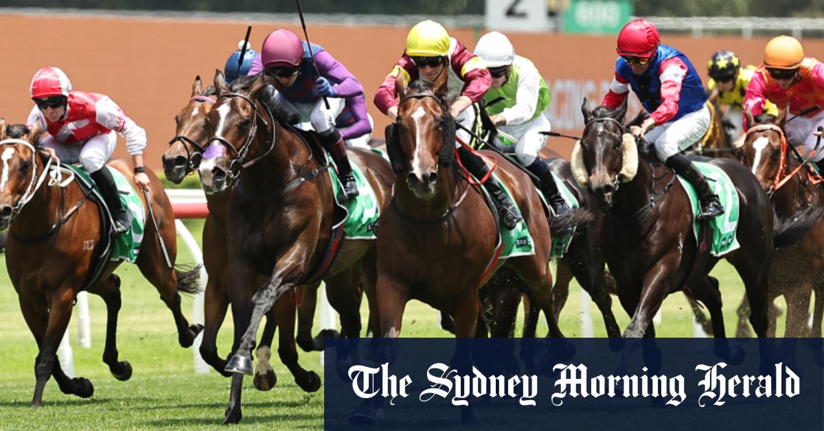 Scone races: Sir Remlap looms as cream of the crop at Scone