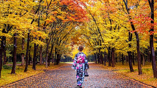 Japan in autumn.
