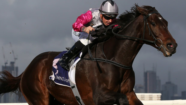 Excuses: Surprise Baby flies home for third last start at Flemington in the Brew Handicap.