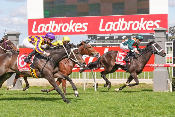 Ladbrokes owner Entain is being investigated by Austrac.