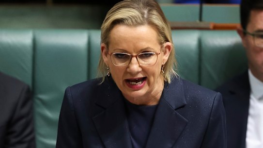 Opposition Leader Sussan Ley.