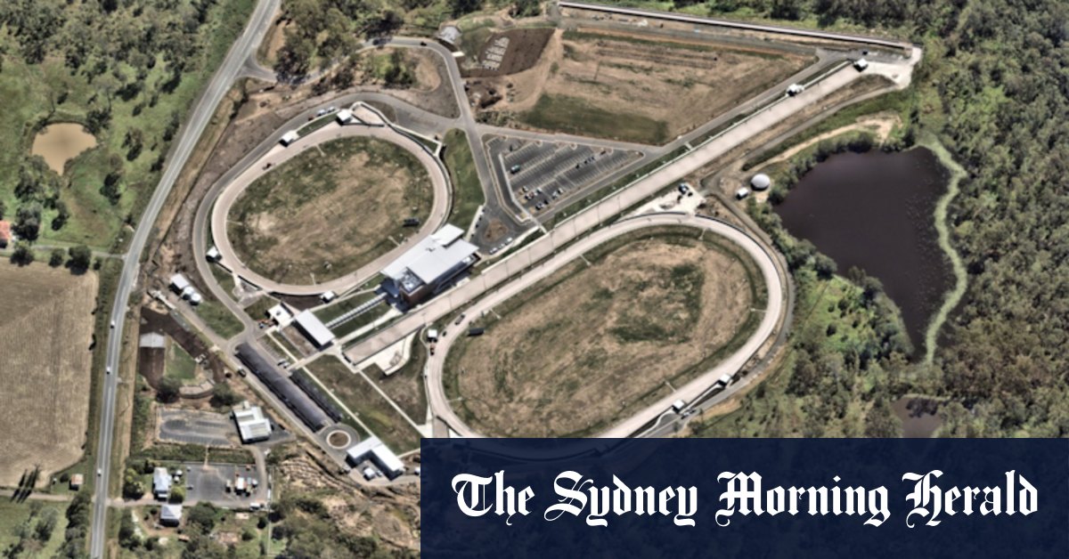 Poor track design contributed to Queensland greyhound deaths: report