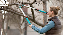 Before you get too scissor-happy, check the laws, rules and regulations of your state, city, and even council.