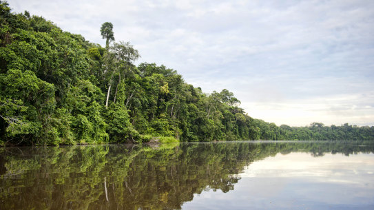 The Tambopata River has become a dumping ground for illegal mining.