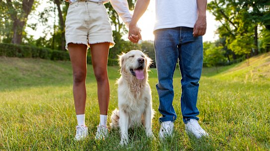 Pets are increasingly being used as a tool for negotiation in separations and divorces.