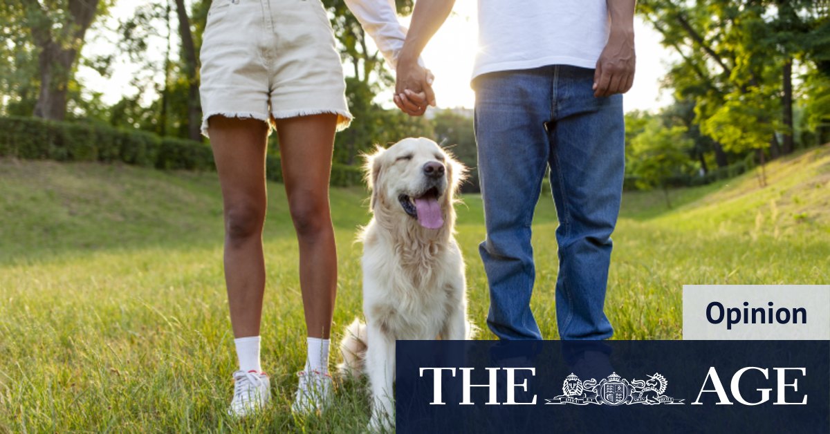 What happens to your pet when you divorce? In Australia, it’s complicated