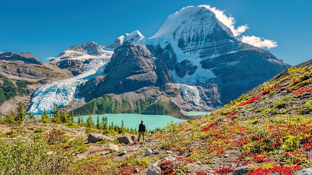 A trail in Mount Robson Provincial Park, British Columbia, Canada.