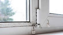 Mould on the window frame in the house