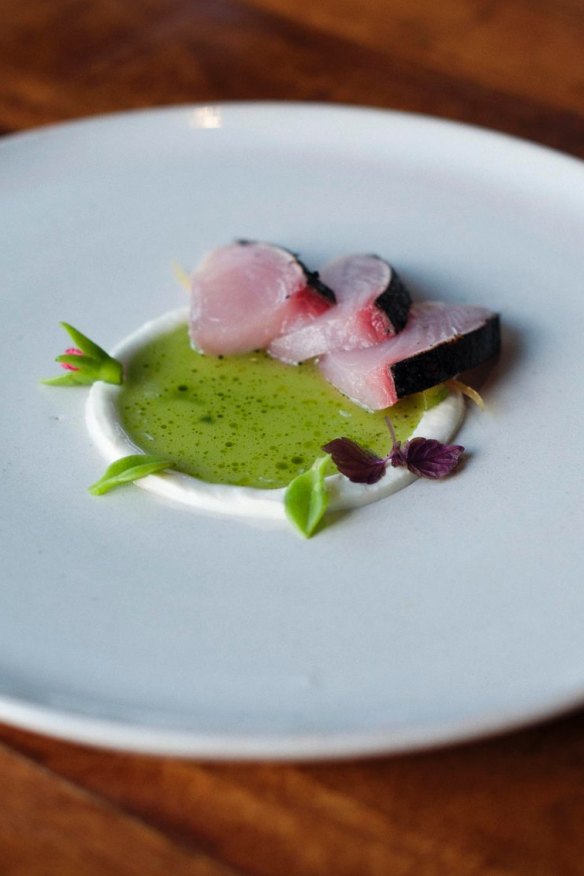 Bonito and fermented cucumber with a ring of feta.