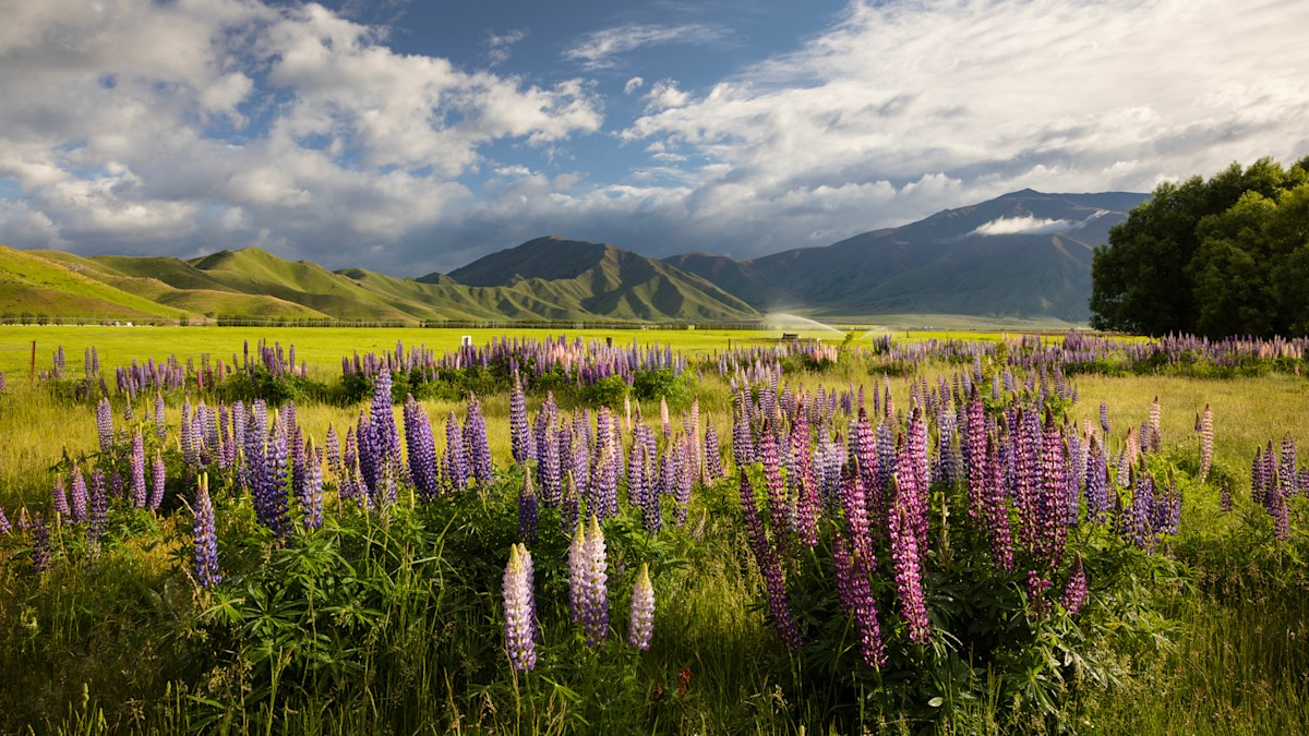 The best time to visit New Zealand for ‘perfect’ weather