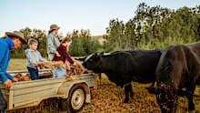 Give your kids an experience they can't get in the city. 