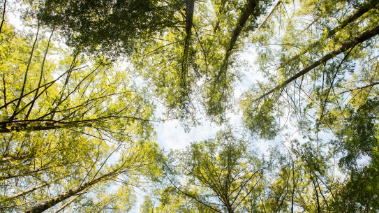 Fundies have room for improvement to better walk the talk on green investing