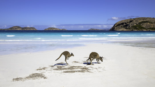 Using the word “mate” can either feel natural or a little awkward.