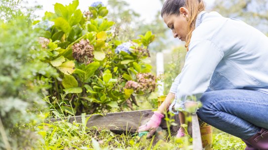 All too often plants and plantings don’t turn out the way we’d hoped.