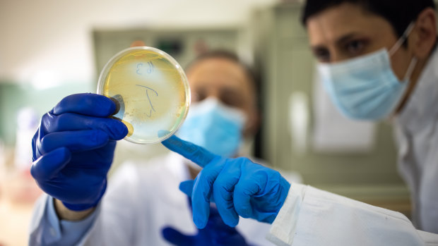 The WHO has warned of the world entering a post-antibiotic era, in which the drugs that we have come to rely on are far less effective. 