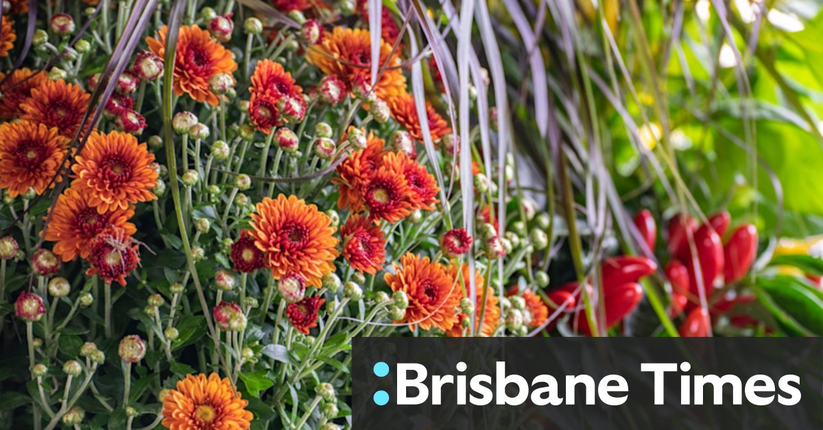 Autumn gardening: What to plant and how to give your garden the best possible head start - Vimarsana News