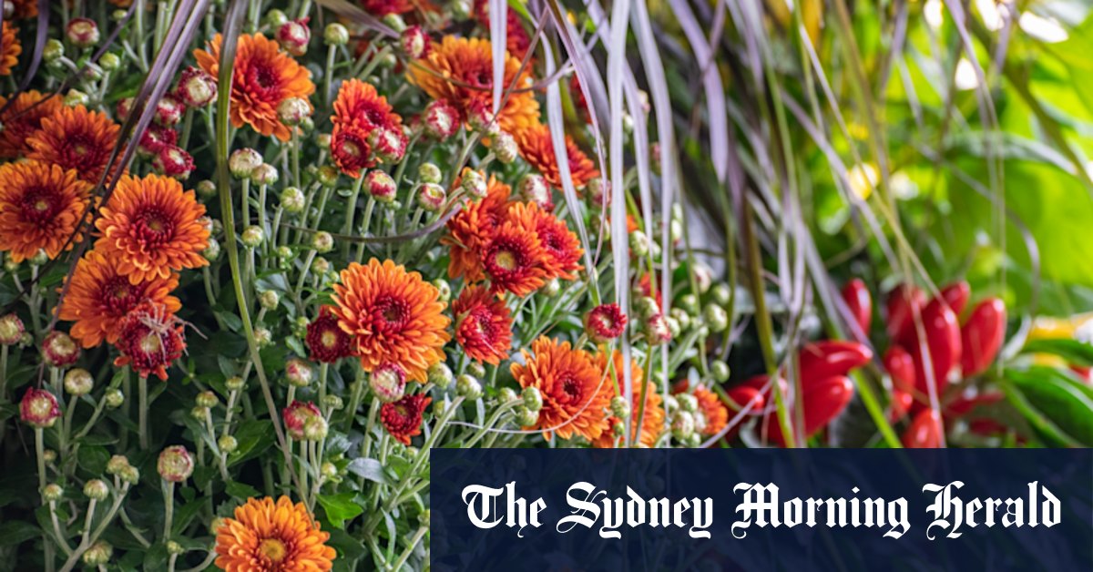 Autumn gardening: What to plant and how to give your garden the best possible head start - Vimarsana News