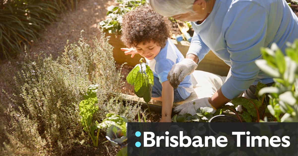 When it comes to planting trees in the backyard, our focus is all wrong - Vimarsana News