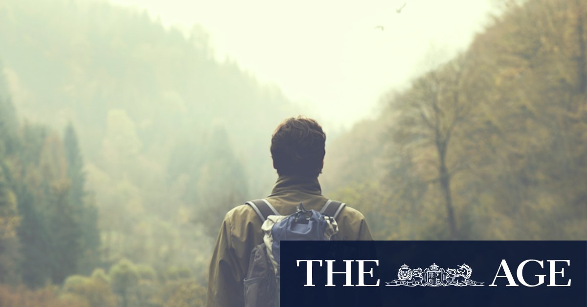 Dr Paul Callaghan's The Dreaming Path: Resist the temptation to rush - Vimarsana News