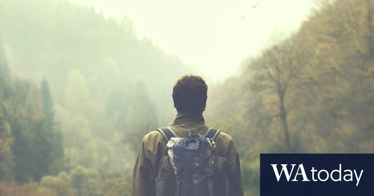Dr Paul Callaghan's The Dreaming Path: Resist the temptation to rush - Vimarsana News