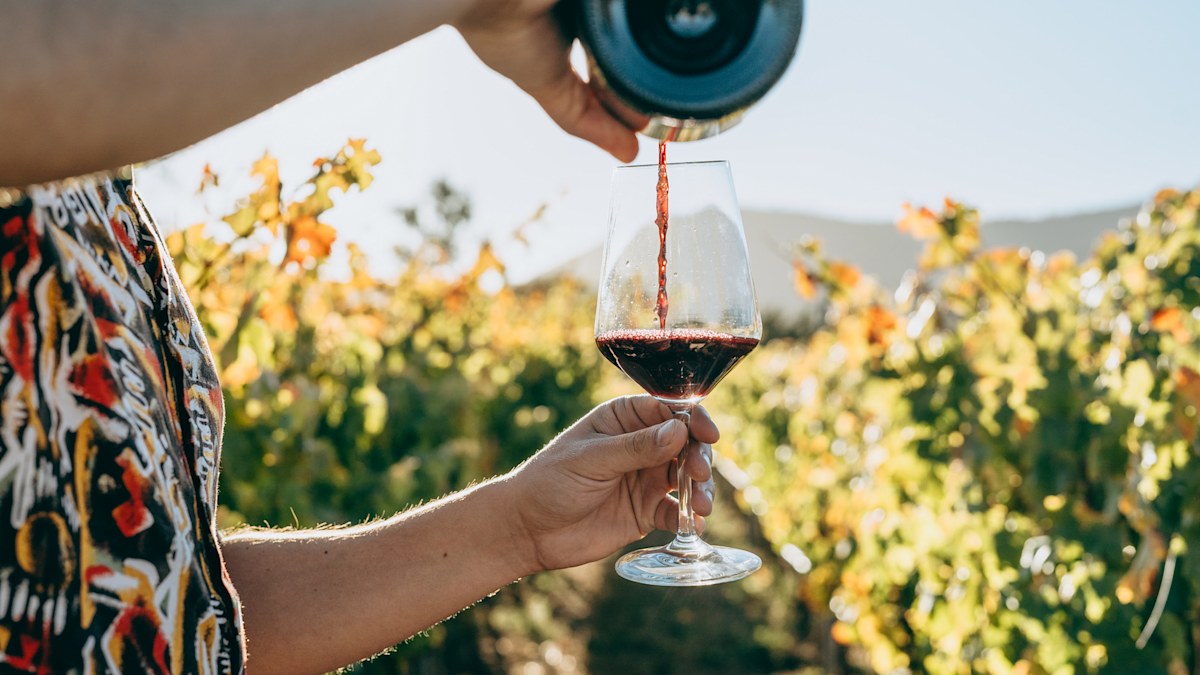 nine.com.au - April Glover - Australia's wine industry is bleeding after $180m loss