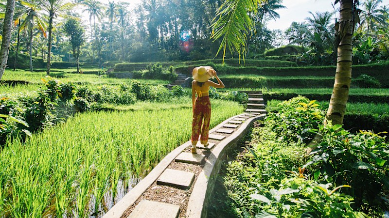 Bali's expat tax haven plan will ruin paradise