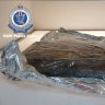 Two Greek nationals charged after 120kg of cocaine found in Sydney shipping container