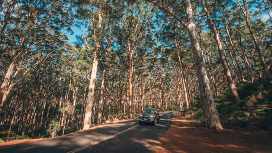 Between 2019 and 2023, 136 people were killed or seriously injured on roads in Busselton and 59 in Augusta Margaret River.