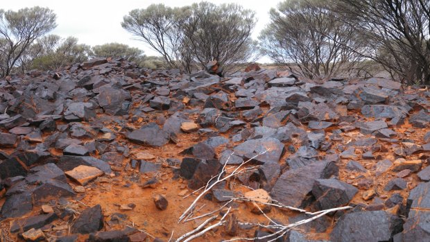 The site of the Australian Vanadium Gabanintha mine. 