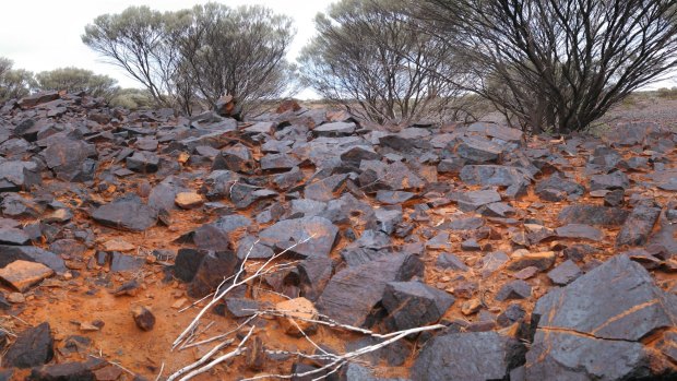 The site of the Australian Vanadium Project.