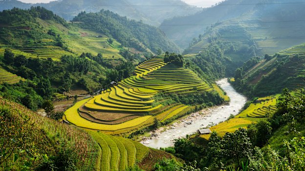 Rice grows at Ha Giang in northern Vietnam. At one point, the Prime Minister called his Vietnamese counterpart to shore up a supply of rice for Australia.