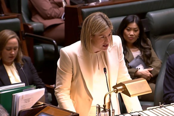 Jess Wilson opposed treaty in parliament and vowed to abolish it without days of becoming Liberal leader.