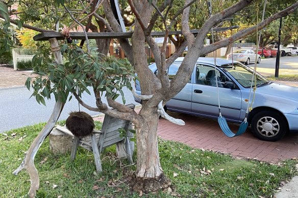 This innocent looking play area has brought much joy but more recently caused headaches all round. 