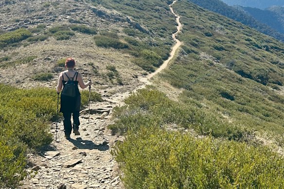 Patti Miller has found walking has many benefits.