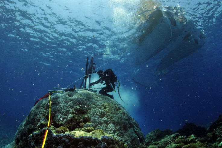 Ancient Western Great Barrier Reef Discovered Off Northern Australia