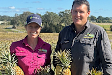 Scott and Katherine Maxwell run Springvale Pines in Queensland.
