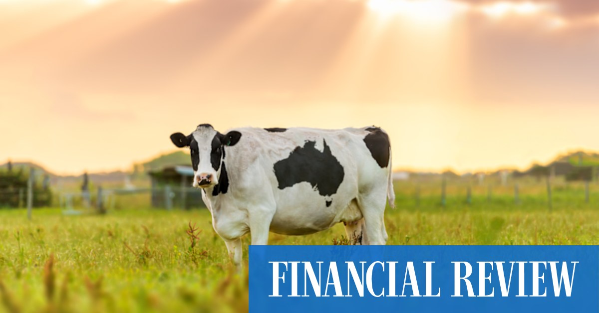 Bega Cheese buying Fonterra Australia would make sense: Bell Potter - Vimarsana News