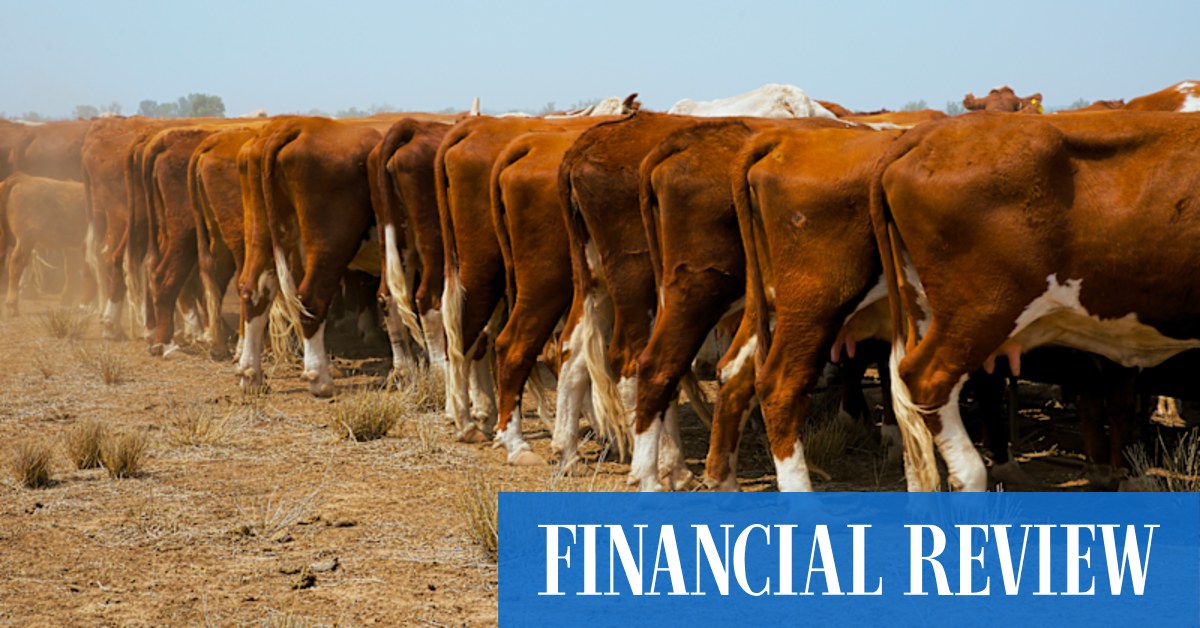 Elders uses 8-point slideshow in response to ASX query - Vimarsana News