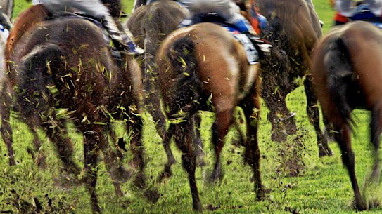 A portion of ticket sales for the Melbourne Cup Carnival will go to a new horse wellbeing fund.